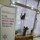 달빛냥살롱 이미지