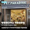 펫 파라다이스 | 일본강아지용품점 펫파라다이스 가마쿠라점 | 슬램덩크 성지 순례 후 쇼핑