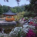 포레나 영흥숲 | 영흥수목원 야간개장 - 시간, 예약, 입장료, 볼거리, 주차