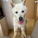 노아병원 이미지