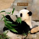 잠꾸러기 이미지