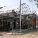 자연+인간+우연 이미지