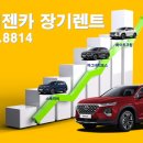 마이젠카 이미지