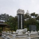 양대박 부자충의문 이미지