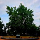 순교지공원 | 청주 중앙공원에서 만나는 읍성 유적지 산책