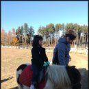 돈구농장 이미지