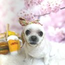 콩이네 이발소 이미지