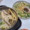 옻나무집 | 초복 삼계탕 먹기 2025 5회 금산 삼계탕 축제 방문 후기