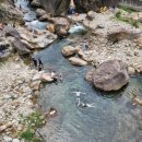 왜골민박 이미지