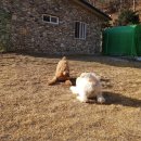 플레이 바우 이미지