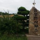 금성면사무소 이미지