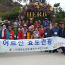 노인회지회 이미지