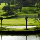 아크로 골프 이미지