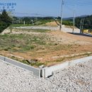 대상(주) 천안공장 네이버블로그