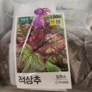 가정연계감사 상추 심기🌱 이미지