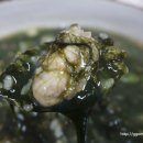 수라칼국수비빔국수굴요리보쌈