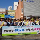 빛고을초등학교 이미지