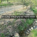 청도전원주택지 매전면 남향 시냇물졸졸 230평 [청도토지38]청도부동산 이미지