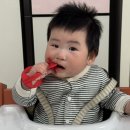 블루포니 | 치발기 사용시기 이앓이 국민 치발기 추천 모윰 포니 후기