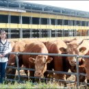 만희농장 이미지