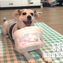 해삼농장 이미지