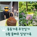 주간일기 5월 둘째주 일상기록 / 아들 생일 / 곤지암 화담숲 / PT 등록