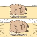 대로유통 네이버블로그