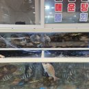 장금이회식당
