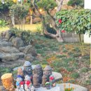 돌담이우다 펜션 이미지