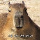 한옥점 이미지
