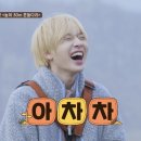 엔시티 위시에 미쳐 고베 다녀온 후기