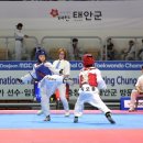 태안군, ‘국제오픈 태권도 대회’ 6일 간의 열전 돌입!(서산태안TV) 이미지