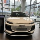&#34;BMW ix살까? 먼저 아우디 Q6-이트론 타볼까?&#34;