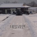 군탄 2리 데일리안