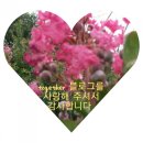 동산한약방 - 강릉시 경강로2015번길 28 | 동산한약방