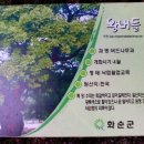 청궁 이미지