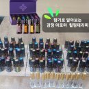 완산노인복지관 | 향기로 마음을 여는 시니어 감정오일 테라피] 수업 후기, 어르신 인지 케어와 우울감 완화에 탁월한 이유!