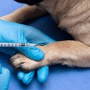 백동물병원 이미지