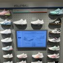 1073 | [ASICS]코트 컨트롤 FF 4 Shine Pack(1073A091100)