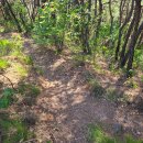 도남동- 도덕암- ★도덕산- 망일봉- 함지산- 운암지- 칠곡운암역 2 이미지