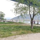 낙동강변27 이미지