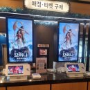 모아나 실사판 후기