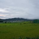 큰빛농장 이미지