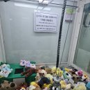 야뽑자 이미지