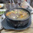 여명유치원 | 양주 백석 맛집 여명양평해장국 n번째 방문 후기 여기진짜 맛있음 인생해장국