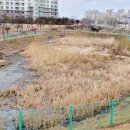 던킨도너츠 내포신도시점 이미지