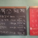 중독돼지 이미지