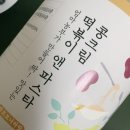 떡볶이 &amp; 까르보나라소스 콩 크림파스타소스 분말가루로 크림소스 오징어먹물파스타 만들기