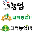농업회사법인 주식회사 태백