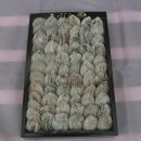 태주농장 이미지